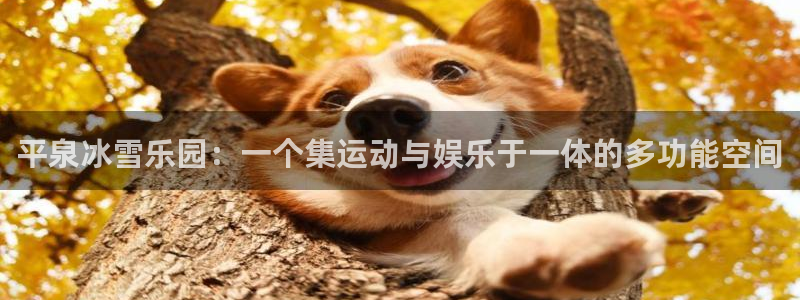 球速体育买球可靠吗：平泉冰雪乐园：一个集运动与娱乐于一体的多功能空间