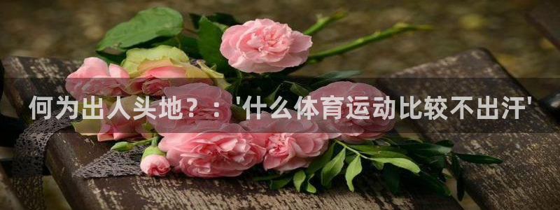 球速体育开了多久：何为出人头地？：\'什么体育运动比较不出汗\'