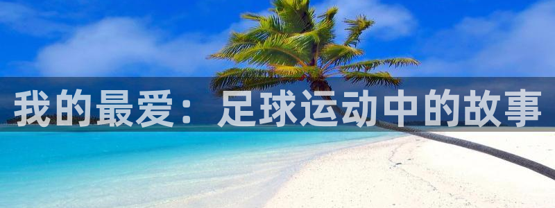 球速体育app官方点b855’in：我的最爱：足球运动中的故事