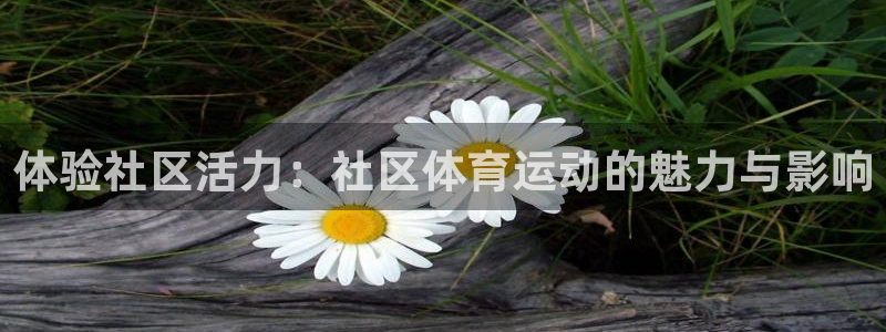 球速体育集团：体验社区活力：社区体育运动的魅力与影响