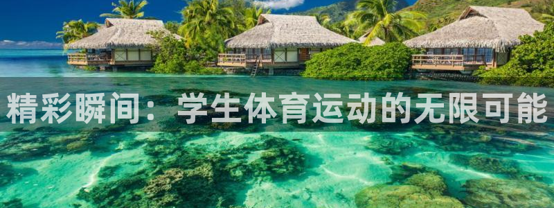 球速体育网址：精彩瞬间：学生体育运动的无限可能