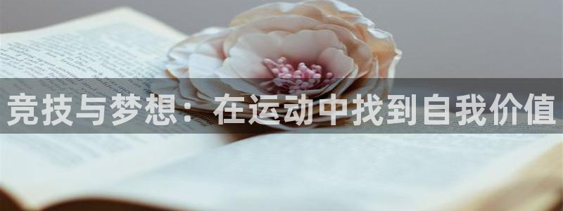 球速体育app：竞技与梦想：在运动中找到自我价值