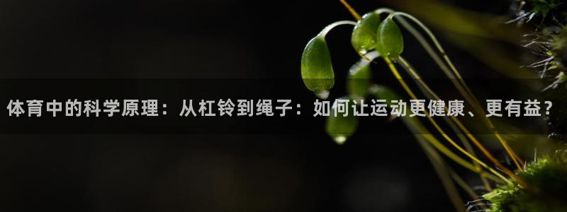 球速体育是正规平台吗：体育中的科学原理：从杠铃到绳子：如何让运动更健康、更有益？