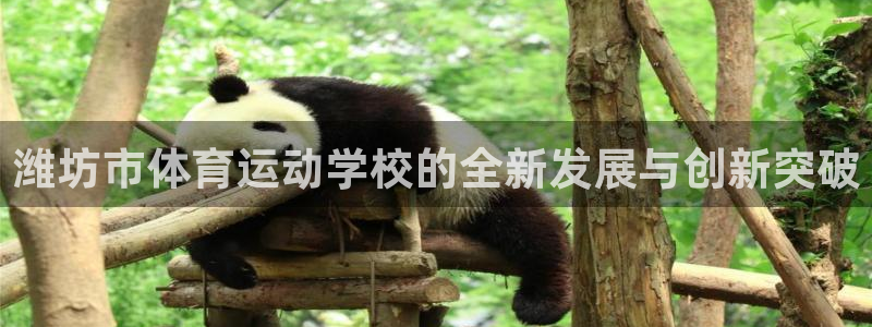 球速体育被黑：潍坊市体育运动学校的全新发展与创新突破