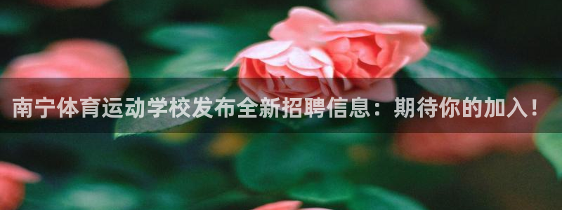 球速体育V11招办：南宁体育运动学校发布全新招聘信息：期待你的加入！